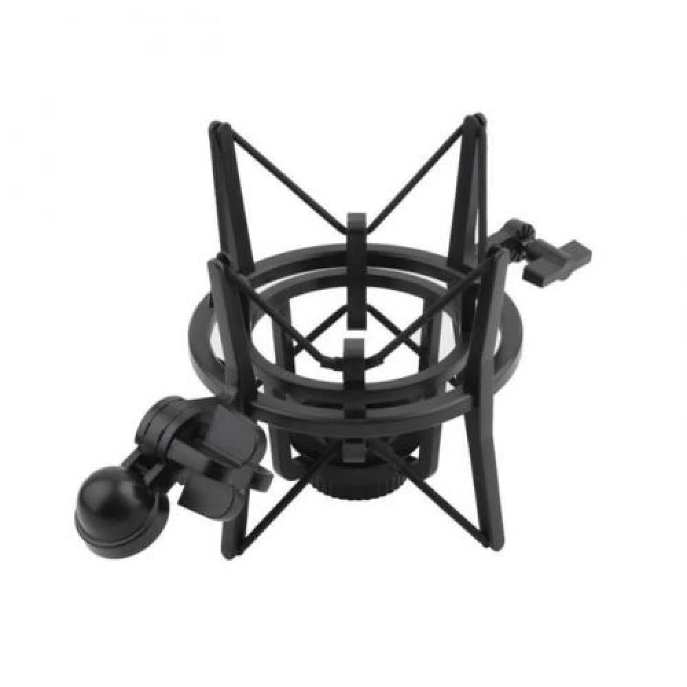 ستاند مايك استيديو مع فلتر