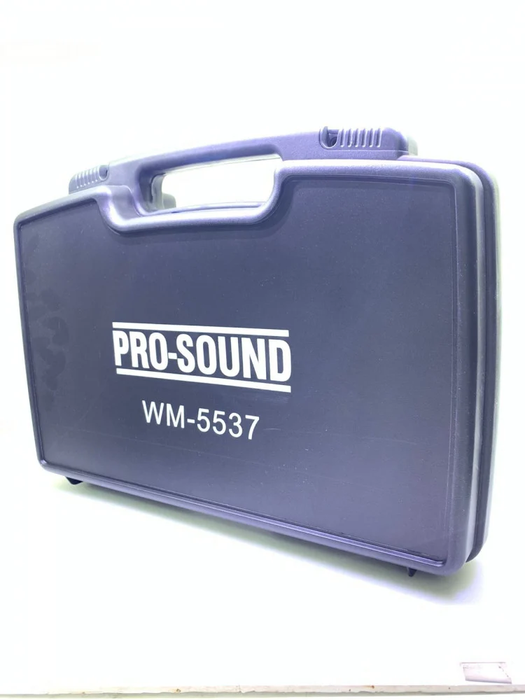 2 ميكرفون لاسلكي يدوي - PRO SOUND